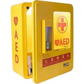 Reliance Medical AED Alarmed Outdoor Heated Metal Cabinet